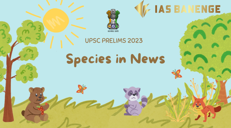 Species in News