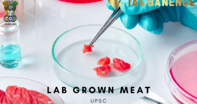 Lab-Grown Meat