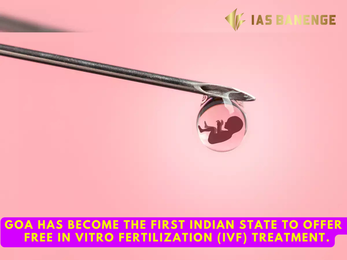 About The In Vitro Fertilization Ivf Ias Banenge 